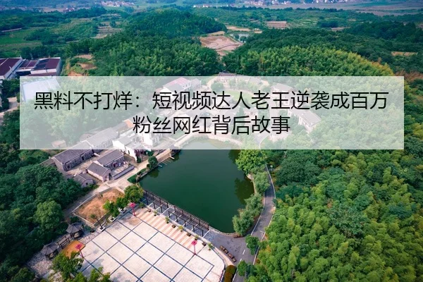 黑料不打烊：短视频达人老王逆袭成百万粉丝网红背后故事